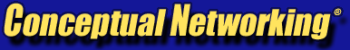 Conceptual Networking
